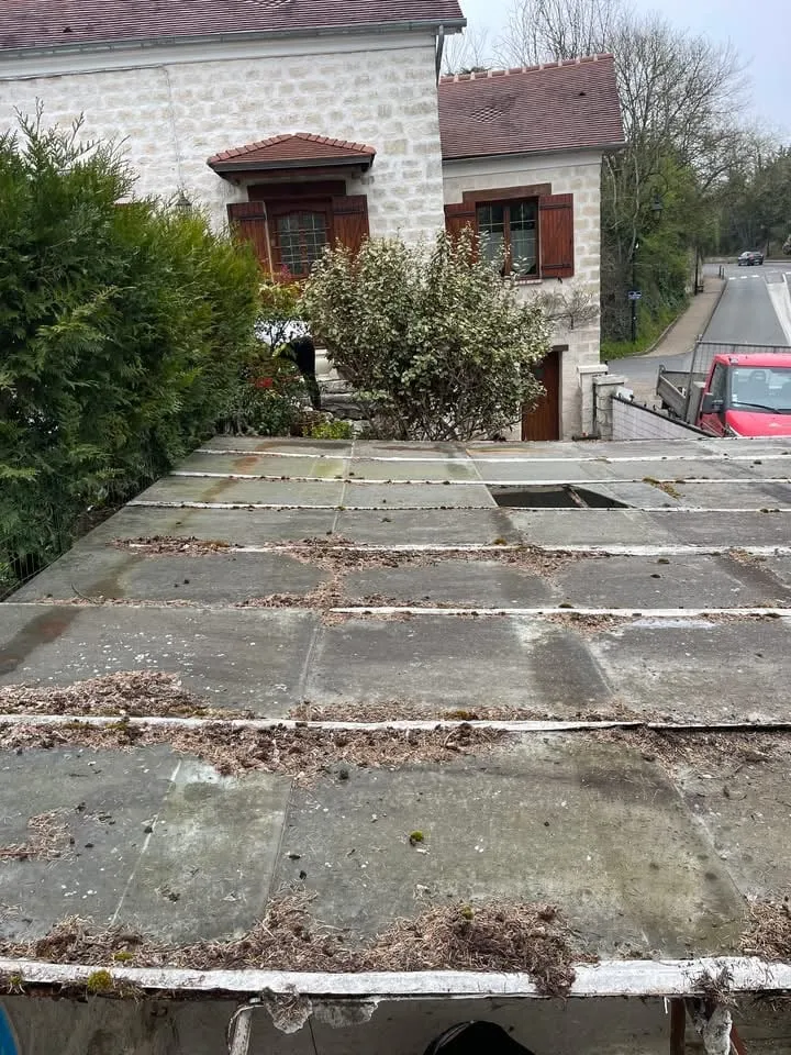 Toiture de garage type verrière, encrassée et dégradée, avant remplacement
